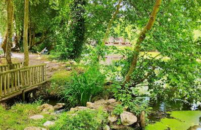 Reflets de Sologne - Foto 9