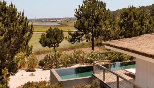 Campo de Arroz - Foto 5