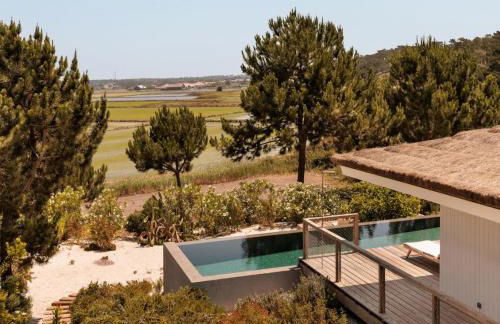 Campo de Arroz - Foto 5