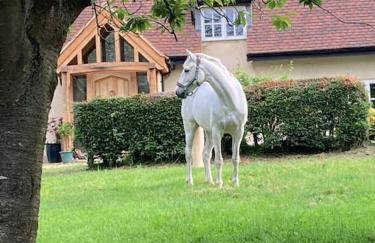 2 Beds & living in our idyllic country Cottage - Foto 22