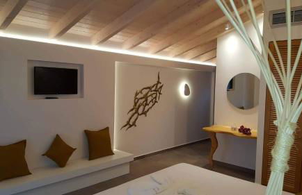 Oasis Exclusive - Foto 18