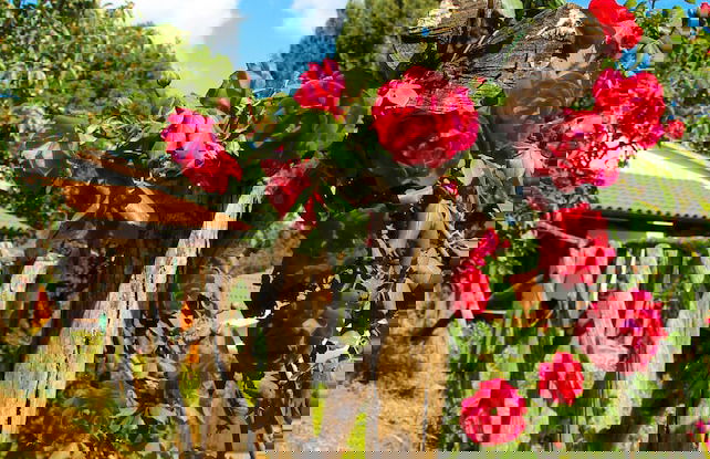 Agriturismo Millefiori - Photo 29