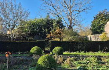 Little Plas - Foto 19