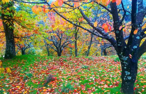 ALBAREÍLLA by #cherrygredos - Photo 33