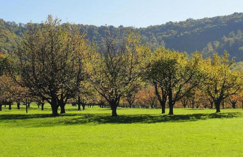 Ferienwohnung Hogh, 55qm, Terrasse - Foto 25