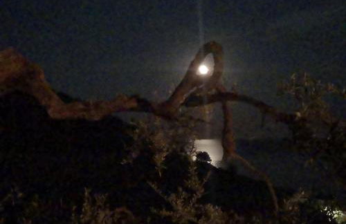 Florinda Lemon's Suite - Foto 46