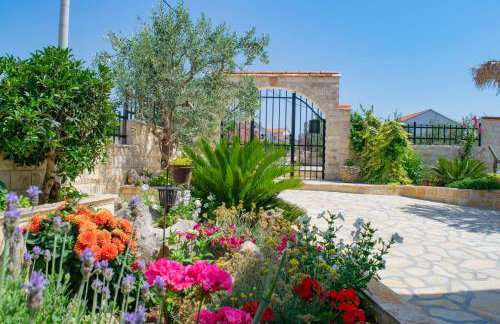 Apartments Šolta - Photo 9