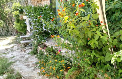 Limonaia in Salento - Foto 51