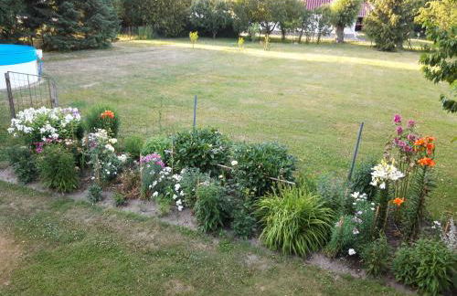 Perle der Uckermark - Foto 16