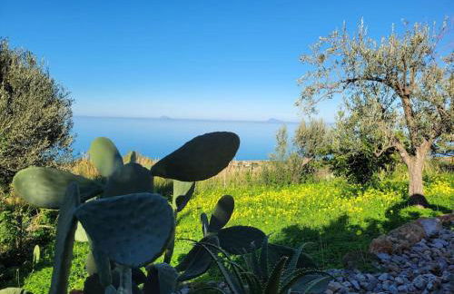 Appartamento Origano - Foto 15