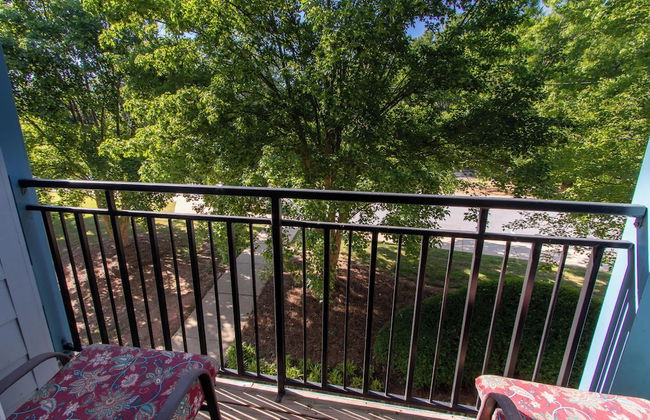 Low Country Dawg House Stunning Walking Trails! - Foto 20