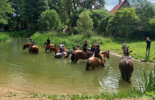 Dom wakacyjny w Kiersztanowie Ładnie Tu - Foto 50