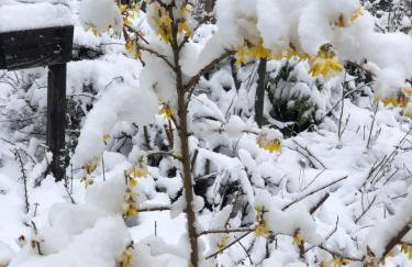 PanoramaApart - Alpzeit im Westallgäu - Foto 4