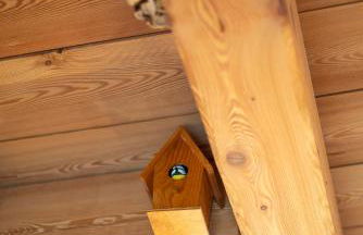 Casera Degnona - Foto 13