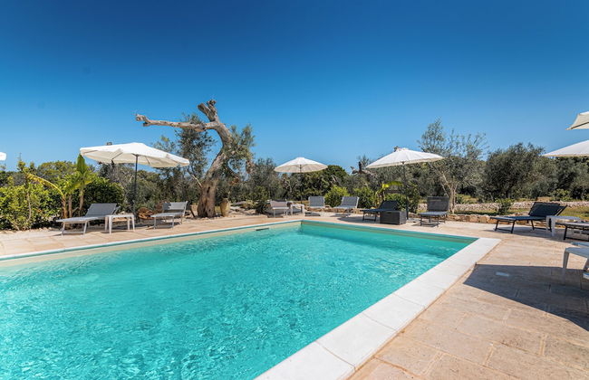 Tenuta San Lorenzo - Photo 49