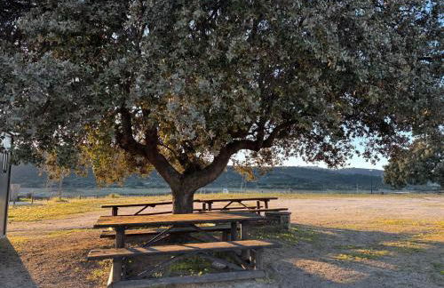 Casa d’ avó Lita - Foto 23