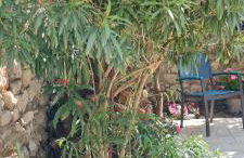 Un havre de paix à l'Estaque Marseille - Foto 7