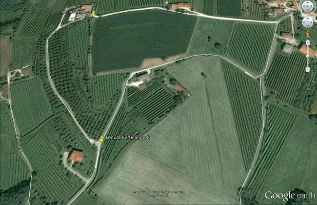 Tenuta Fortelongo - Foto 44