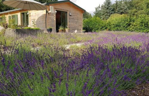 Holiday Home in Atzenhain mit Großer Terrasse by Interhome - Foto 10