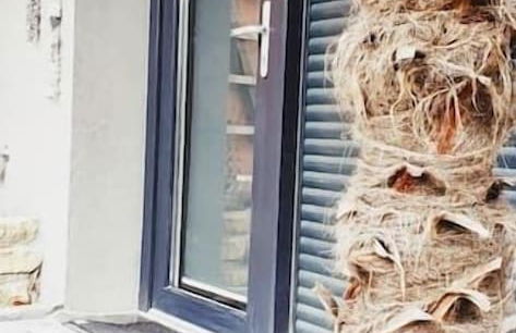 La vie est belle - Holiday Homes - Photo 25