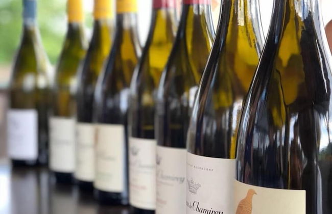 La Maison du Grand Four en Bourgogne, Au coeur de Vignes, Piscine et Sauna - Foto 34