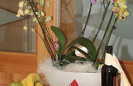 Residence Weisskugel Langtaufers Südtirol - Foto 24