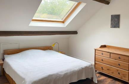 Truffe du Quercy - Le Colombié - Foto 17