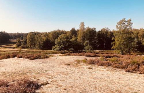 Idyllische Familien-Oase - Foto 22