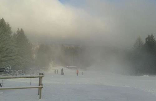 Steinmännchen Ferienwohnung - Foto 17