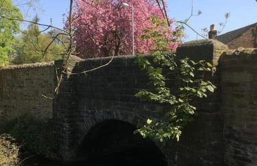 1800 Period Grade 2 Listed Cottage Addingham - Photo 2