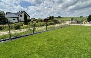 Biała Czapla - Foto 27