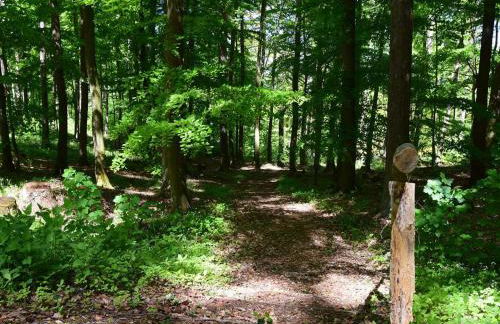 Torhaus Schloss Wocklum - Foto 10