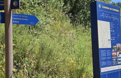 Quinta do Penedo- Refúgio de Charme e Natureza - Foto 15