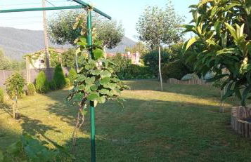 El racó del Puig - Foto 41