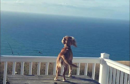 SeaView Sleeps 4to6 Pet friendly Parking - Photo 37