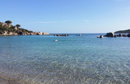 Les Studios de Fiori - Studios et Appartement T2 - Cala Rossa - proche Porto Vecchio - Foto 38