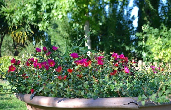 Ars Naturae Biologic Farm - Foto 78