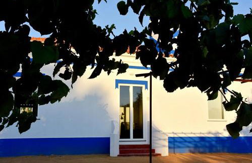 Monte Casa Branca - Foto 33