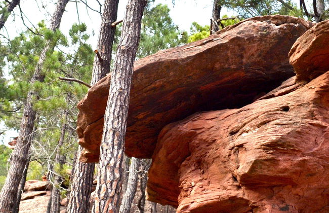Visite des peintures rupestres de Pinares de Rodeno - Photo 1
