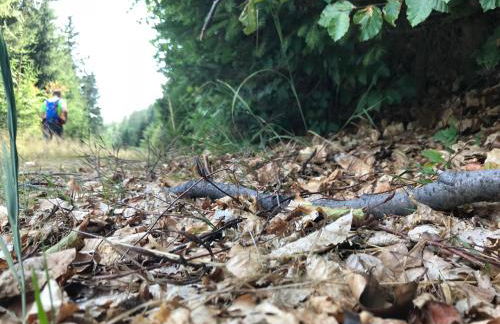 Germina Apart - Photo 28