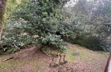 Casa Os Batáns - Foto 57