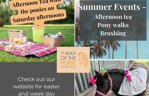 Equestrian Retreat - Sleeps 4 & Bbq - Foto 15