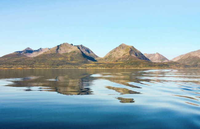 7 Person Holiday Home in Stonglandseidet - Foto 15