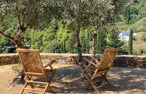 Laas Daskios, Stone Country House, Skopelos Anania - Foto 69