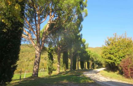 Holiday home in Montieri - Toskana 34273 - Foto 9