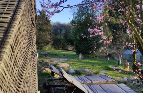 Casa Foresta - minimalistisches 1-Raum Tiny House direkt am Wald - Foto 25