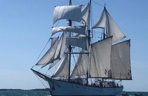 L' ALBATROS - 2 chambres - 5 personnes - Proximité de la plage - Foto 29