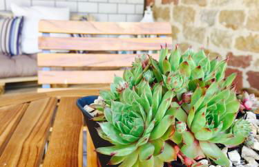 Ferienhaus Winzer - Wandern und Genuss in der Pfalz - Foto 34