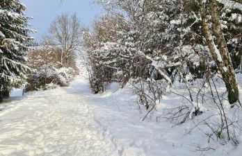 Ferienwohnung Hanne - Foto 14