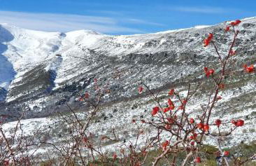 Casa Dulcinea en Brañosera - Foto 28